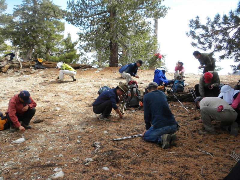 Timber101710 085.jpg